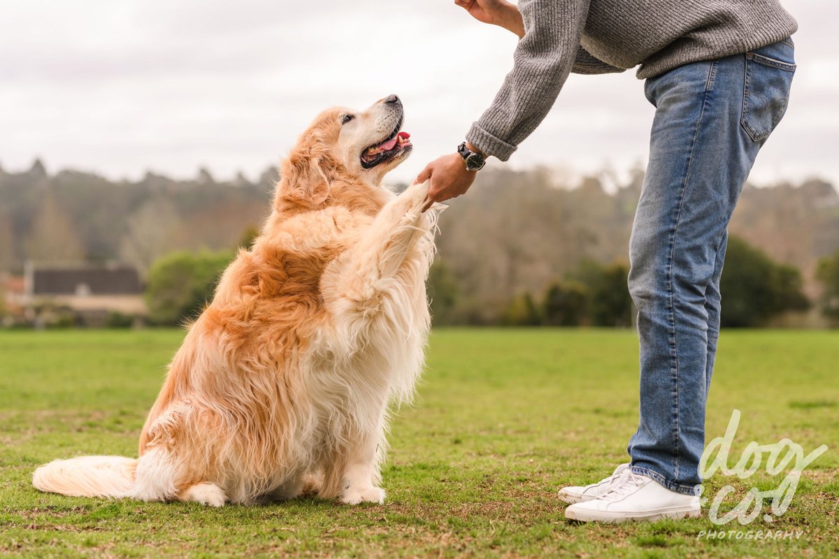 Lucky giving Don a paw